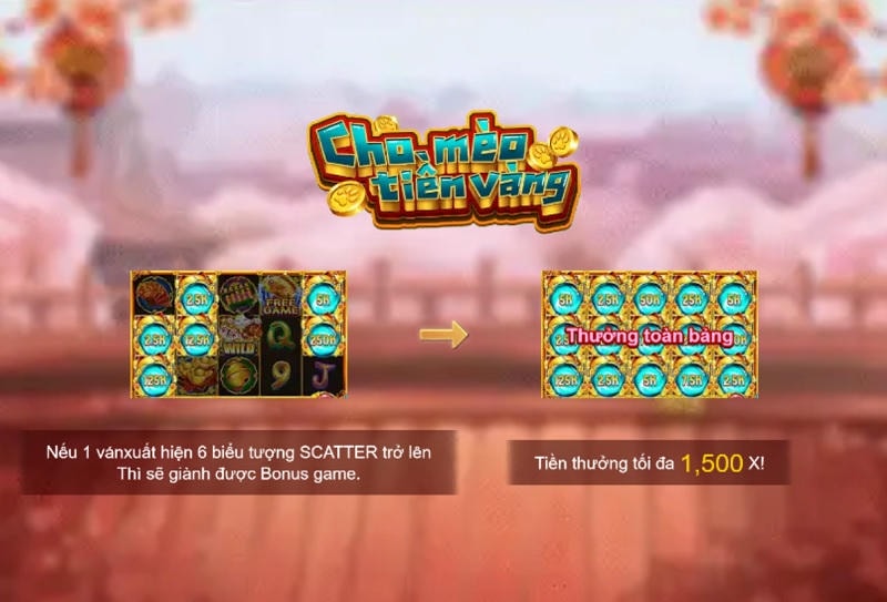 Giới thiệu tổng quan về Coin Cat