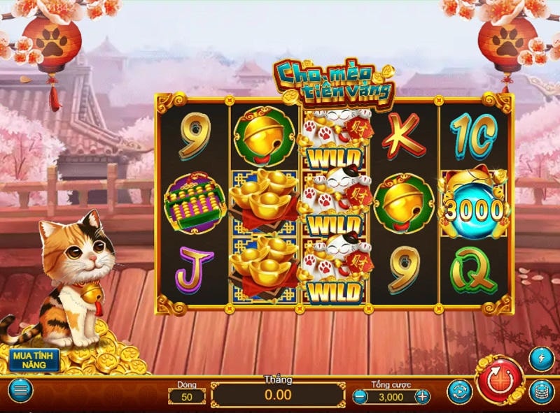 Các tính năng đặc biệt trên game coin cat