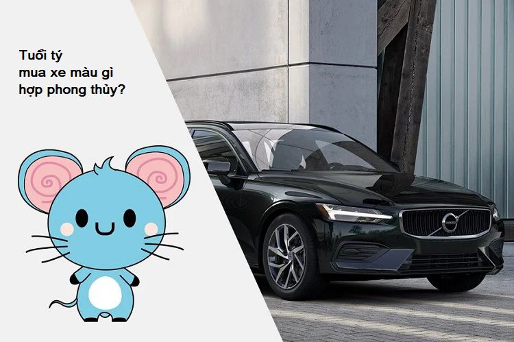 Tuổi tý mua xe màu gì hợp phong thủy